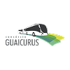 Guaicurus